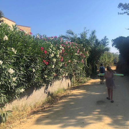 La Corse Tranquille 300M De La Plage Et Piscine Лингиццета Экстерьер фото