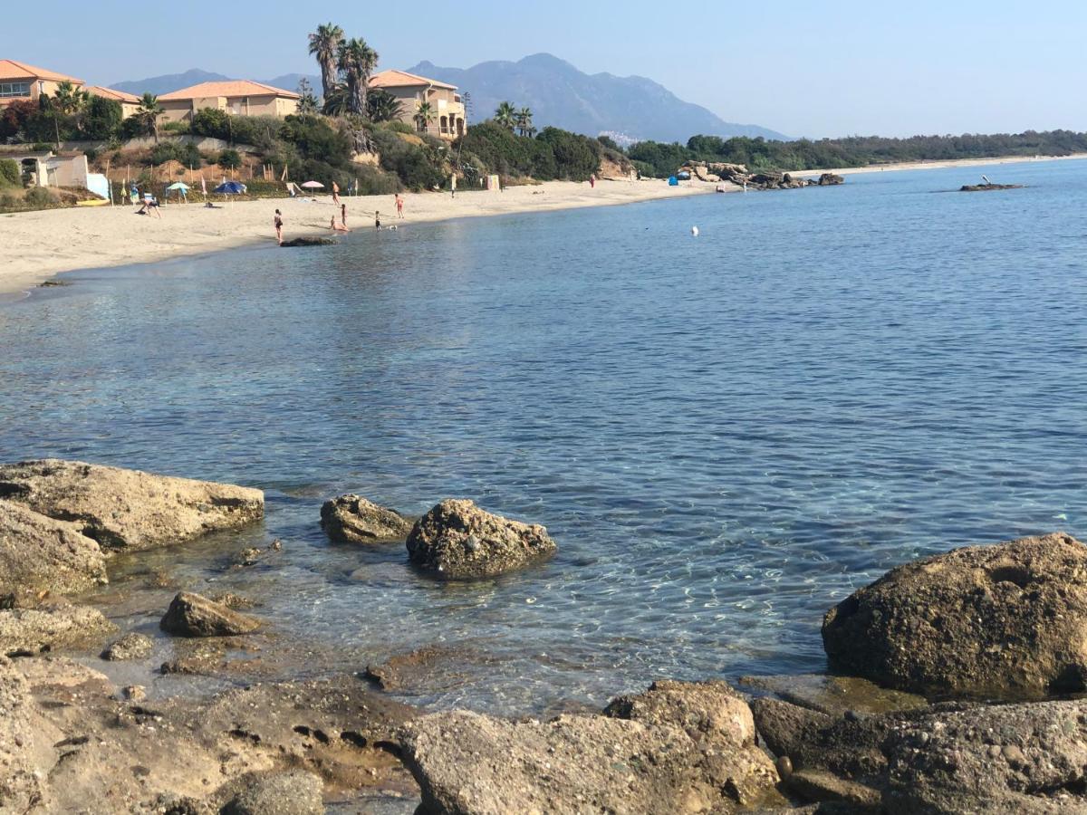 La Corse Tranquille 300M De La Plage Et Piscine Лингиццета Экстерьер фото